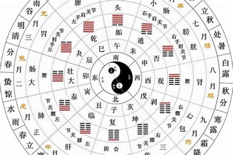 天干12支|十二天干地支对照表 十天干和十二地支详解